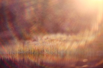 autumn background blur