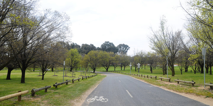 Beautiful country road for Cycling near meadow park