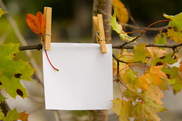 Autumn outdoor scene with empty note