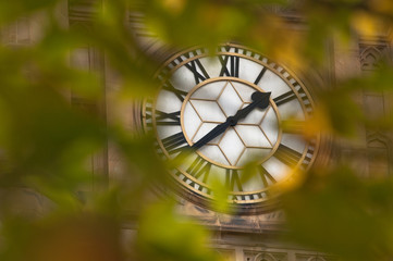 Big antique clock through maple leaves refer to deadline in business concept