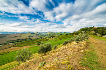 rural view of Italian countryside