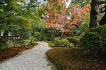 Zen peaceful passage in Japanese garden in Autumn