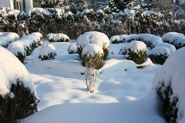 Winter im Garten