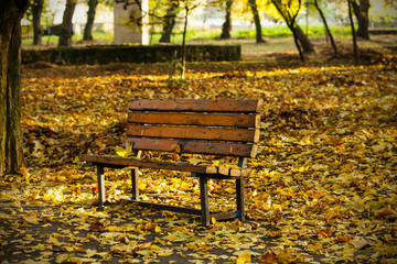 Bench in the autumn park