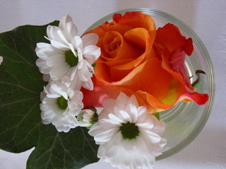 Tischdekoration orangene Rose weiße Blumen und Efeublatt 