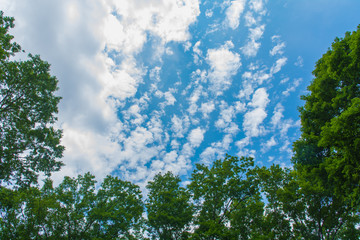 Obraz premium フレーム