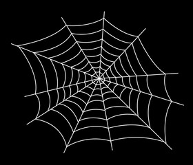 spider web vector illustration
