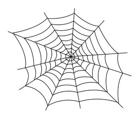 spider web vector illustration - obrazy, fototapety, plakaty