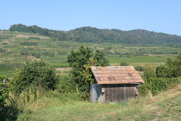 H&uuml;tte bei Ihringen