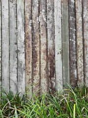 Timber fence wall with green grass