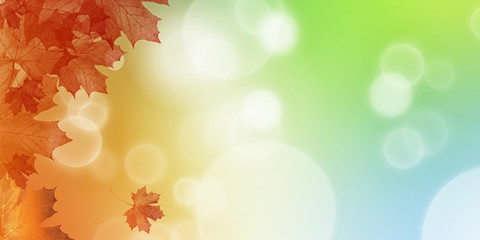 Fototapeta premium abstract nature autumn Background with orange leaves