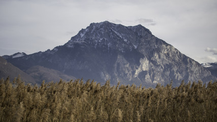 Wächter des Salzkammerguts