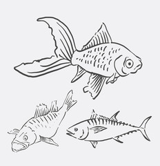 Fish pet animal sketch. Good use for symbol, logo, web icon, mascot, element, object, sign, or any design you want.