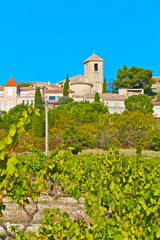 Fototapeta na wymiar village vignes vinsobres