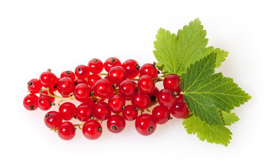 Red currant with green leaves isolated on white background