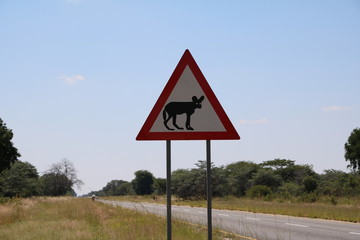 Caution Bat eared fox! Traffic sign in Botswana, Africa 