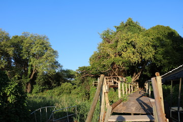 Fototapeta na wymiar Wooden bridge on the shore of Cuando river, Caprivi Strip of Botswana Africa 