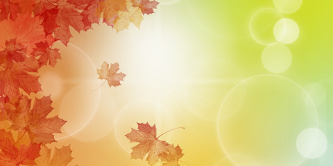 Autumn background