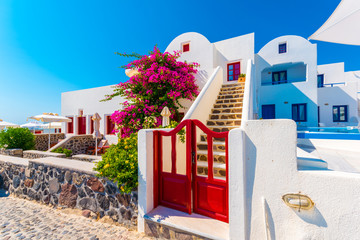 Traditional house and flower in Oia, Santorini, Greece