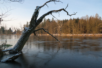 frozen Lake at the Morning Light in Germany