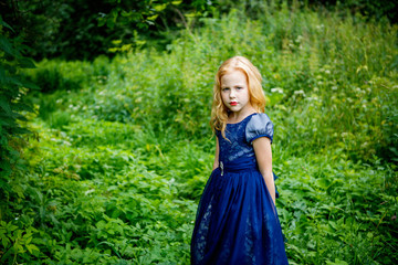 Portrait of beautiful little girl in the blue dress on the nature