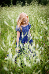 Portrait of beautiful little girl in the blue dress on the nature