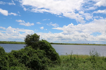 Obraz na płótnie Canvas Shore of Cuando River, Caprivi Strip of Botswana Africa