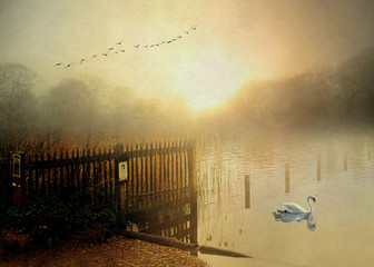 Autumn Lake   Hampstead Heath London Uk 