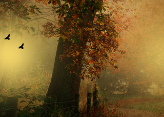 Beautiful Autumn day On hampstead Heath 