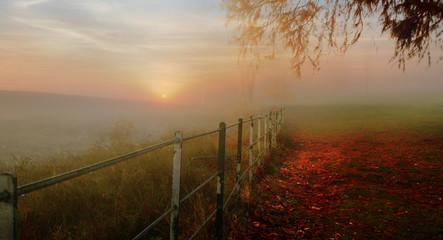 sunrise on a misty Autumn day 