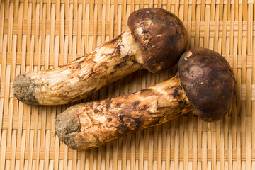 日本、岩手県産　最高級松茸　 Domestic matsutake mushroom