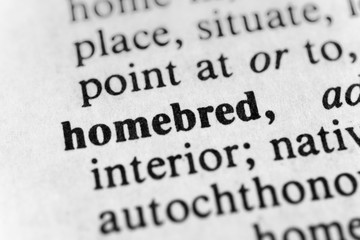 Obraz premium Homebred