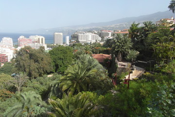 Obraz premium Puerto de la Cruz on Tenerife