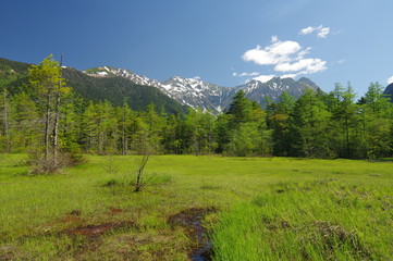 上高地　田代湿原と穂高連峰（新緑）