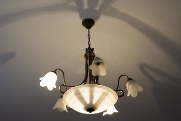 chandelier