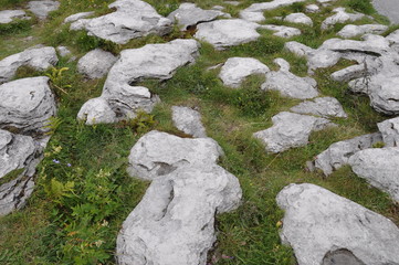 Burren in Irland, Poulnabrone-Dolmen