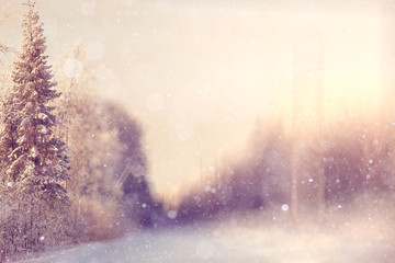 blurred winter background with snowflakes for text