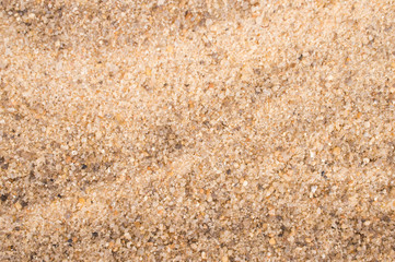 texture of sand close up
