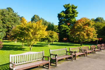 Public Roath Park with benches and beautiful trees during a sunny morning at the beginning of autumn.