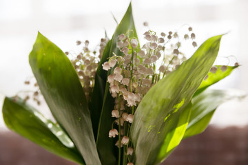 Fototapeta premium Beautiful bouquet of lily of valley i