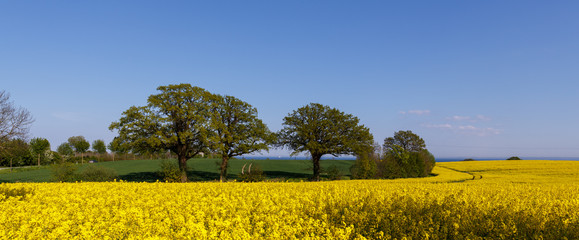 Segler in der Ostsee - gefunden ???
