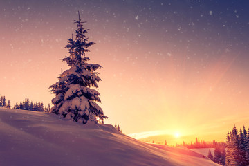 Prachtig winterlandschap in de bergen. Uitzicht op besneeuwde naaldbomen en sneeuwvlokken bij zonsopgang. Prettige kerstdagen en gelukkig Nieuwjaar achtergrond.