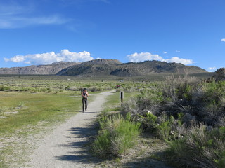 Fototapeta premium Mono Lake, California