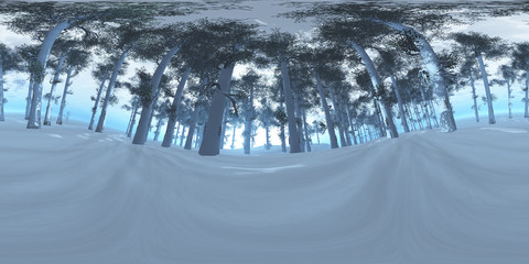 Winter Pine Forest VR360