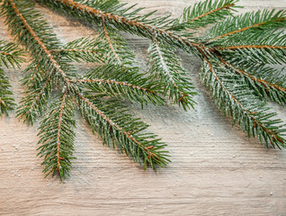 Tannenzweig Grußkarte Vorlage