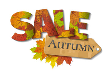 Fall sale design. Autumn discount. Vector fall leaves. Vector fall sale poster illustration with colorful autumn leaves. Can be used in business for flyers, banners or posters.