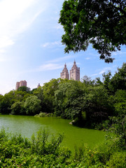 Naklejka premium San Remo Central Park New York