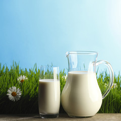 Milk jug and glass on flower field