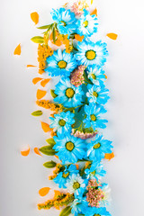 Blue and orange flowers are a straight vertical stripe on a light background. Top view. Flat lay.