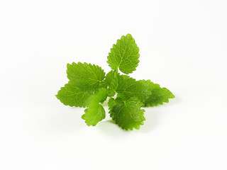 Lemon balm leaves